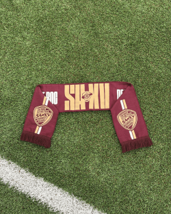 ÉCHARPE SUPPORTER 25-26